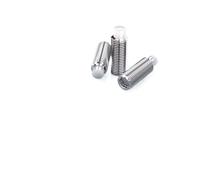 AYYSSM Vite di Fissaggio con Punta Esagonale in Nylon con Punta Convessa in plastica da 10 Pezzi in Acciaio Inossidabile 304(20mm,M8 (10Pcs))