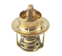 AYZLGAA Kit termostato for Motori fuoribordo Johnson Evrinrude 55-75hp