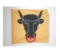 AZ FLAG Bandiera CANTONE di URI 90x90cm - Bandiera di URI - UR 90 x 90 cm Foro per Asta
