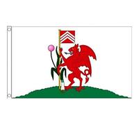 AZ FLAG Bandiera Cardiff 150x90cm - Bandiera Gallese - Galles 90 x 150 cm
