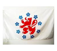 AZ FLAG Bandiera COMUNITÀ GERMANOFONA del Belgio 150x90cm - Bandiera DEUTSCHSPRACHIGE GEMEINSCHAFT BELGIENS 90 x 150 cm Foro per Asta
