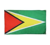 AZ FLAG Bandiera Guyana 150 x 90 cm con 4 occhielli, bandiera della Guyana per balcone o parete