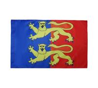 AZ FLAG Bandiera Manica 90x60 cm Stendardo Francese Poliestere 100D Asola
