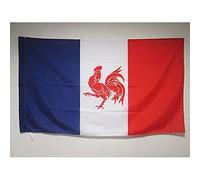 AZ FLAG Bandiera Movimento VALLONE Francese 90x60cm - Bandiera VALLONIA 60 x 90 cm Foro per Asta