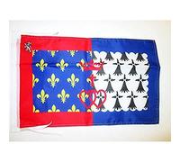 AZ FLAG Bandiera Paesi Della Loira 45x30 cm - Bandierina Pays De La Loire In Francia 30 x 45 cm Cordicelle