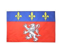 AZ FLAG Bandiera Provincia del Lyonnais 90x60cm - Bandiera di LIONE - Francia 60 x 90 cm Foro per Asta