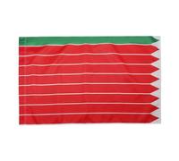 AZ FLAG Bandiera Provincia Spagnola di Zamora 90x60cm - Bandiera Zamora - CASTIGLIA E LEÓN 60 x 90 cm Foro per Asta