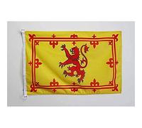 AZ FLAG Bandiera Reale della Scozia 90x60cm per Esterno - Bandiera Scozzese con Stemma 60 x 90 cm