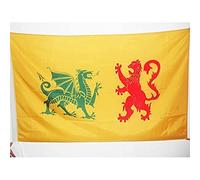 AZ FLAG Bandiera Regno di GALIZIA 410-585 90x60cm - Bandiera Galicia in Spagna 60 x 90 cm Foro per Asta