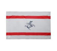 AZ FLAG Bandiera Toscana 90x60cm - Bandiera REGIONE Toscana - REGIONE Italia 60 x 90 cm Foro per Asta