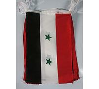 AZ FLAG Ghirlanda 12 Metri 20 Bandiere ARMATA Libera di Siria 45x30cm - Bandiera SIRIANA 30 x 45 cm - Festone BANDIERINE