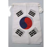 AZ FLAG Ghirlanda 12 Metri 20 Bandiere Corea del Sud 45x30cm - Bandiera SUDCOREANA 30 x 45 cm - Festone BANDIERINE