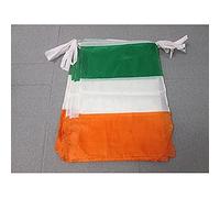 AZ FLAG Ghirlanda 12 Metri 20 Bandiere Irlanda 45x30cm - Bandiera Irlandese 30 x 45 cm - Festone BANDIERINE