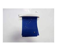 AZ FLAG Ghirlanda 6 Metri 20 Bandiere Alaska 21x15cm, Bandiera Stato Americano - Usa - Stati Uniti 15 x 21 cm - Festone Bandierine