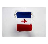 AZ FLAG Ghirlanda 6 Metri 20 Bandiere Francia Libera 1940-1944 21x15cm, Bandiera Movimento France Libre - De Gaulle 15 x 21 cm - Festone Bandierine