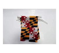 AZ FLAG Ghirlanda 6 Metri 20 Bandiere Maryland 21x15cm, Bandiera Stato Americano - Usa - Stati Uniti 15 x 21 cm - Festone Bandierine