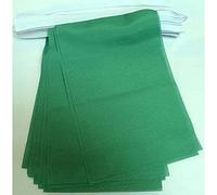 AZ FLAG Ghirlanda 6 Metri 20 Bandiere Monocolore Verde 21x15cm, Bandiera Verde 15 x 21 cm - Festone Bandierine
