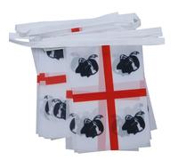 AZ FLAG Ghirlanda 6 Metri 20 Bandiere Sardegna 21x15cm - Bandiera SARDA - Italia 15 x 21 cm - Festone BANDIERINE