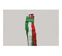 AZ FLAG Manica a Vento Galles 150 cm Gallese Nylon