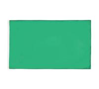 AZ FLAG Set da 5 Bandiere Monocolore Verde 90x60 cm 2 Occhielli | Uso interno ed esterno bandiera decorativa doppie cuciture e bordi rinforzati con occhielli metallici poliestere 100D
