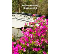 Azaleas Blooming in Charleston SC Gratitude Journal: 6 x 9 100 lined pages hardcover gratitude notebook flowers at Magnolia Gardens