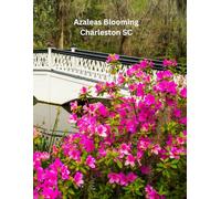 Azaleas Blooming in Charleston SC Gratitude Journal: 8.5 x 11 100 lined pages softcover gratitude notebook flowers at Magnolia Gardens