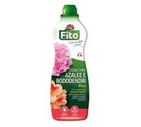 Fito Azalee RODODENDRI Plus