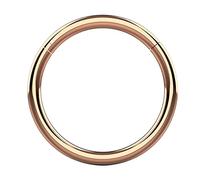 AZARIO LONDON Anello in oro massiccio 9 K con segmento clicker incernierato, calibro 16, 18, 20 gauge, diametri multipli (6-12 mm), per naso, cartilagine, daith, setto, trago, elice, rosa, bianco, oro