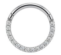 AZARIO LONDON Micro Setting Line Cz Stone 316L acciaio chirurgico incernierato Clicker segmento anello orecchio setto trago Helix gioielli, 9mm Diameter, Zirconia cubica, pietra preziosa, acciaio