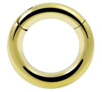 AZARIO LONDON Piercing ad anello a segmento a scatto in acciaio inox, calibro 8 (3,0 mm), 10mm Diameter, Acciaio chirurgico 316L, Nessuna pietra preziosa