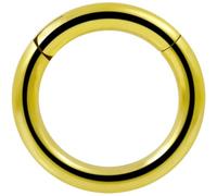 AZARIO LONDON Piercing ad anello con segmento a scatto, in acciaio inox, calibro 12 (2,0 mm), 10mm Diameter, Acciaio chirurgico 316L, Nessuna pietra preziosa
