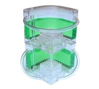 AZHKJKZH Formica Nido Castello delle Formiche Habitat Idee per Un Formicaio Fattoria di Osserva Le Scavare I Propri Tunnel nelle Case Casette per Formiche(Grün)