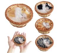 AZIDWERYQ Giocattolo per Il pisolino di Gatto, Gatto, 4 Pezzi Mini Giocattoli per Bambini, Giocattolo per Il pisolino per Dormire nel Cestino con Suoni di miagolio per Mano da scrivania per Bambini R