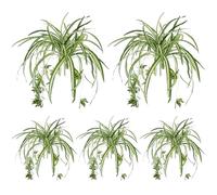 AZIDWERYQ Pianta ragno artificiale da appendere da 5 pezzi, 22 pollici, con testa di fiore, verde di seta realistico di lunga durata per piante da interno ed esterno