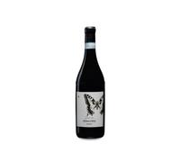 Azienda Agricola Camparo Sará DOC Barbera d'Alba Rosso 2020
