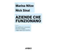 Aziende che funzionano. Semplificare i processi, lavorare meglio, raggiungere gli obiettivi