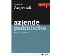 Aziende pubbliche. Economia e gestione. Con Contenuto digitale per accesso online