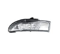 Azimcai LED Fanale Specchietto Laterale Per JAC E10X Per E.JS1 Indicatore Luminoso Indicatore Di Direzione Specchietto Retrovisore Auto(1pc left)