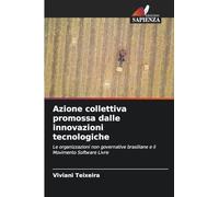 Azione collettiva promossa dalle innovazioni tecnologiche: Le organizzazioni non governative brasiliane e il Movimento Software Livre