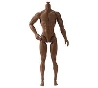 Azione in scala 1/6 Figura 6, corpo maschile muscolare mobile multi-giunto per la raccolta del display, marrone