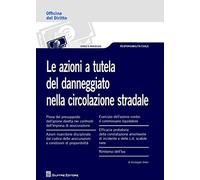 Le azioni a tutela del danneggiato nella circolazione stradale