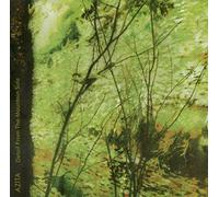 Azita - Detail From The Mountain Side