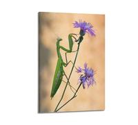 AZTU Poster decorativo su tela con motivo di insetti La mantide religiosa feroce, per camera da letto e camera da letto (30 x 45 cm)