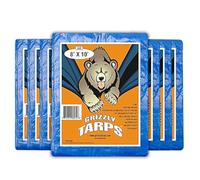 B-Air BA-GT-8X10-BL-4 Tarp, blu, 8X10