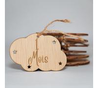 B. BachVibes - Plaques mensuelles en bois pour bébé - Ensemble de 14 disques mensuels - Idéal pour les photos de nouveau-nés et comme cadeau pour une baby shower. (Francese)