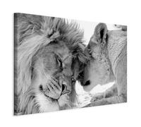 B&D XXL - Quadro Leone e Leonessa in Amore 90x60 cm 1 Pezzo - Stampa su Tela TNT Tessuto - Quadri Moderni Camera da Letto - Pannelli Decorativi per Pareti Decorazioni da Parete Decori g-B-0034-b-b