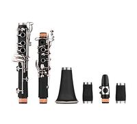 B Flat Clarinet con 17 Chiave, Design Squisito, Tasti Cupronickel, di Stoffa di Pulizia della Vezzatura Reed, Strumento ABS per Appassionati di Musica (BLACK