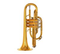 B&S 3142/2-GL Brochon Bb-Cornet