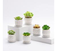 B SEPOR Set di 6 fioriere in porcellana bianca, semplici, per piccole piante, cactus grasse, cactus con drenaggio e piattino, decorazione per casa e ufficio (strisce bianche)