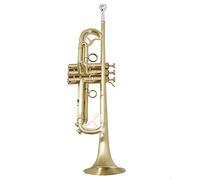 B Tromba Piana Antique Antique Spazzolata, Adatta Per La Riproduzione Professionale Degli Strumenti Musicali
